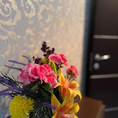 布加勒斯特Luxury公寓 外观 照片